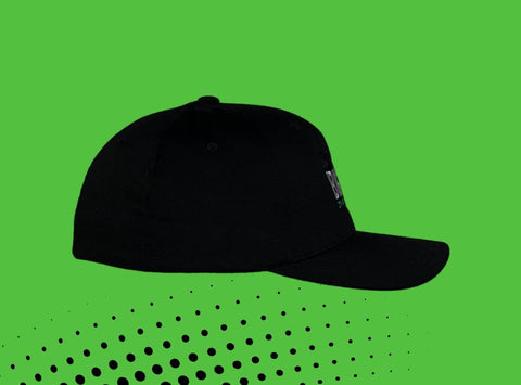 Flex Fit Baseball Hat